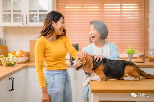 寵物食品營(yíng)銷(xiāo)新趨勢(shì) 問(wèn)“為什么”取代“是什么”的銷(xiāo)售革命